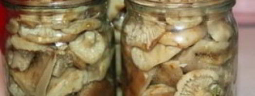 маринованные грузди с чесноком. Шаг 4