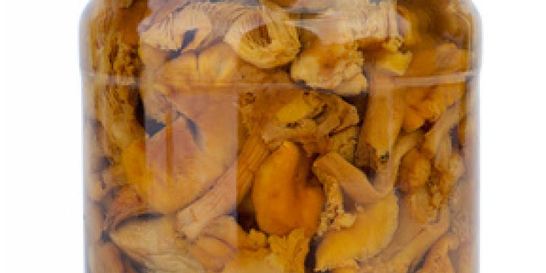 Маринованные лисички