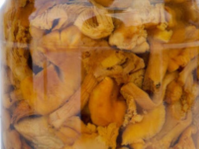 Рецепт маринованных лисичек