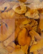 Маринованные лисички