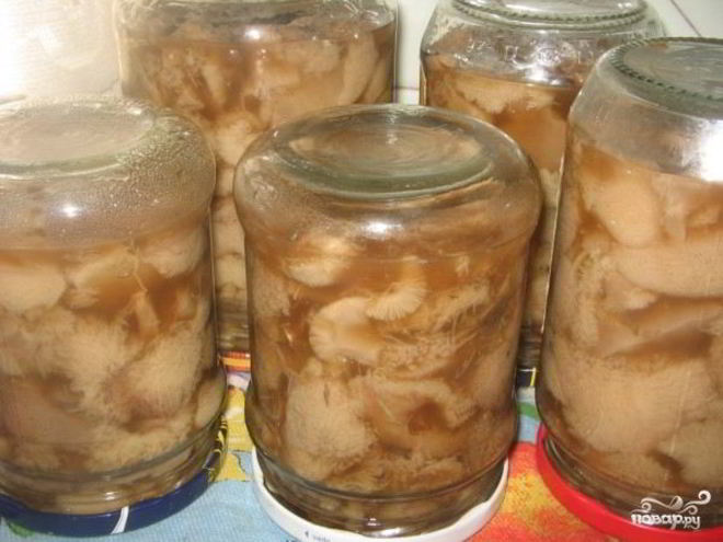 Рецепт маринованных маслят быстро