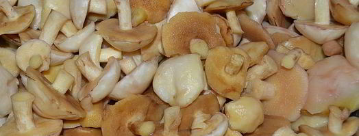 маринованные маслята на зиму. Шаг 4