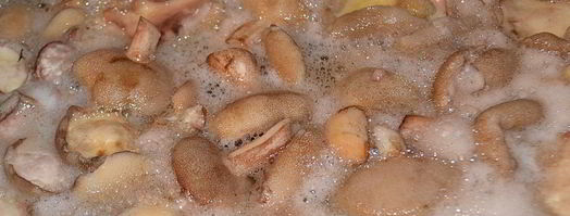 маринованные маслята на зиму. Шаг 5