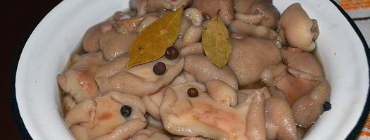 маринованные маслята на зиму. Шаг 9