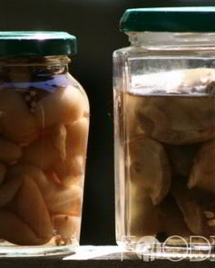 Маринованные моховики