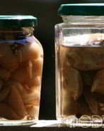 Маринованные моховики