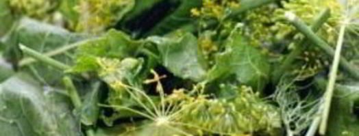 маринованные огурцы без стерилизации. Шаг 2