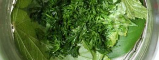 маринованные огурцы globus. Шаг 3