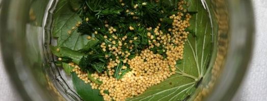 маринованные огурцы globus. Шаг 4