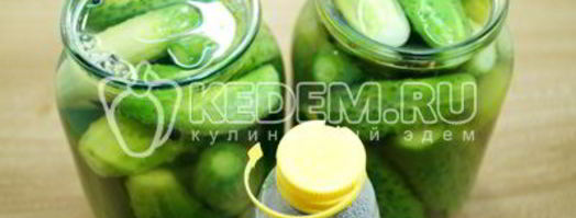 маринованные огурцы с хреном. Шаг 12
