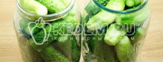 маринованные огурцы с хреном. Шаг 9