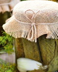 Маринованные огурцы с кориандром без стерилизации