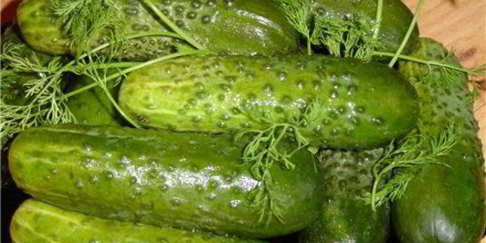 Маринованные огурцы с кориандром