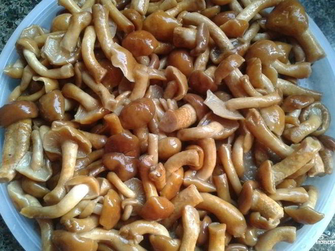 Рецепт маринованных опят без стерилизации