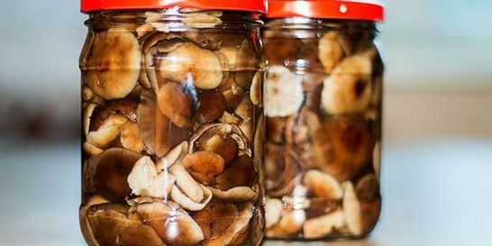 Маринованные опята