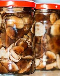 Маринованные опята