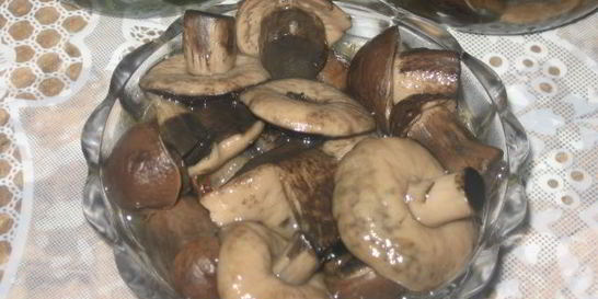 Маринованные подберезовики на зиму