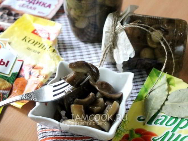 Рецепт маринованных подберезовиков