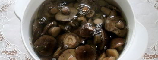 маринованные подберезовики. Шаг 13
