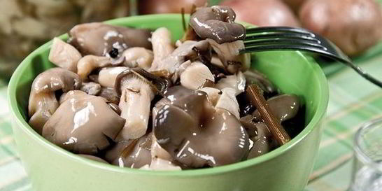 Маринованные вешенки за сутки