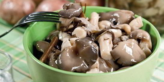 Маринованные вешенки