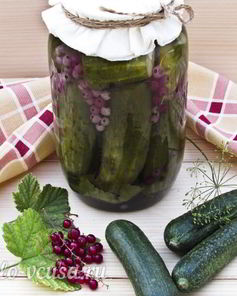 Огурцы маринованные с красной смородиной