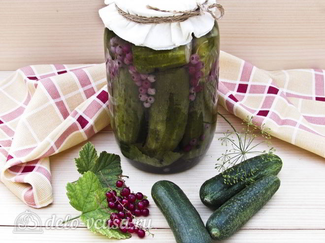 Рецепт огурцов маринованных с красной смородиной
