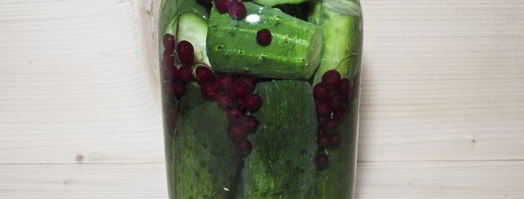 огурцы маринованные с красной смородиной. Шаг 11