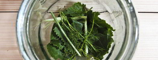 огурцы маринованные с красной смородиной. Шаг 5