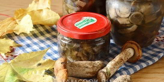 Подосиновики маринованные на зиму без стерилизации