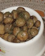 Шампиньоны маринованные