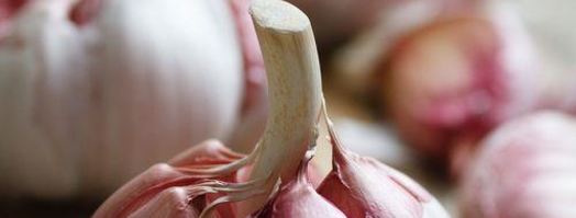 слива маринованная с чесноком. Шаг 2