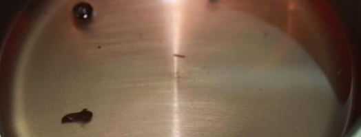 слива маринованная с чесноком. Шаг 3