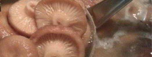 волнушки маринованные. Шаг 2