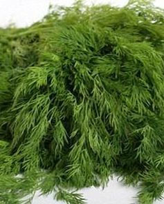 Мороженный укроп