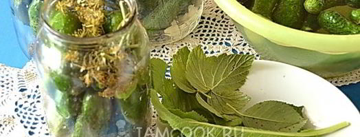 огурцы на зиму проще простого. Шаг 5