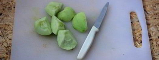 яблочное повидло. Шаг 2