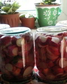 Редис на зиму