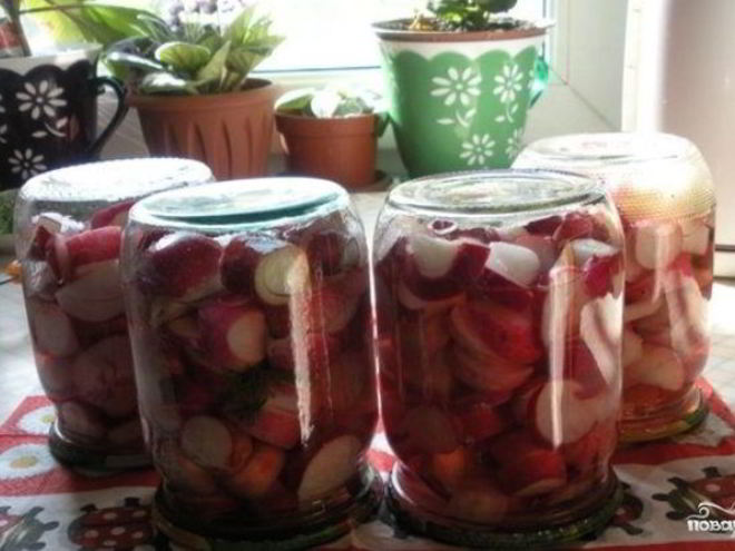 Рецепт редиса на зиму
