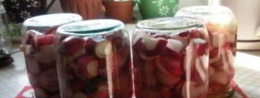 редис на зиму. Шаг 5