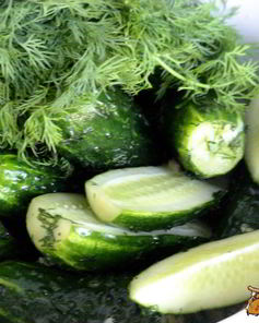 Малосольные огурчики в пакете