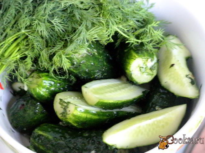 Рецепт малосольных огурчиков в пакете