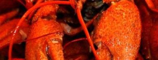 малосольные огурчики. Шаг 7