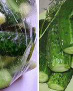 Малосольные огурцы в пакете