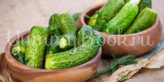 Малосольные огурцы