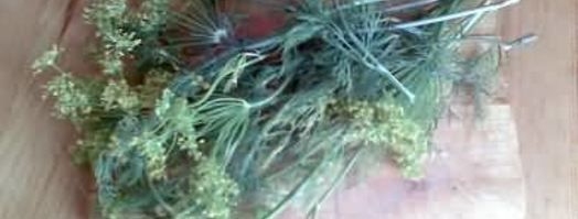 малосольные огурцы. Шаг 7