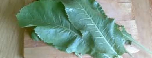 малосольные огурцы. Шаг 9