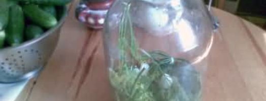 малосольные огурцы. Шаг 20