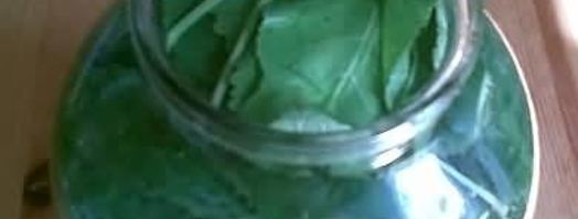 малосольные огурцы. Шаг 27