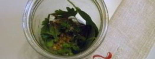 соленые огурчики на зиму. Шаг 2